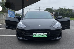 Model 3 特斯拉 标准续航后驱升级版