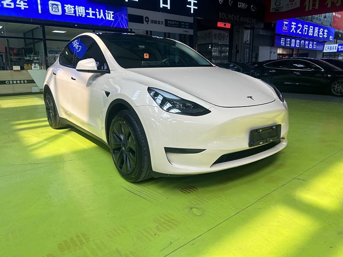 特斯拉 Model 3  2020款 改款 長續(xù)航后輪驅(qū)動版圖片