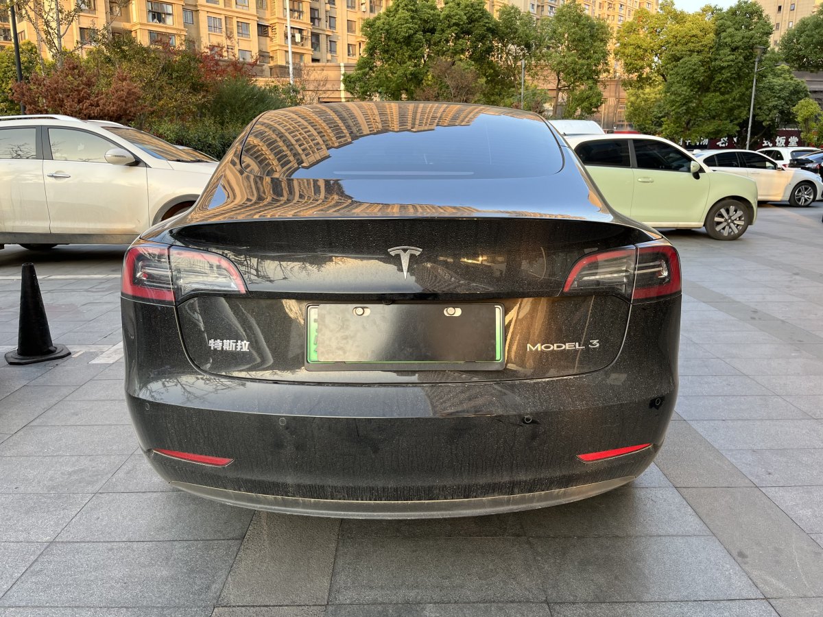 特斯拉 Model 3  2021款 標(biāo)準(zhǔn)續(xù)航后驅(qū)升級(jí)版 3D6圖片