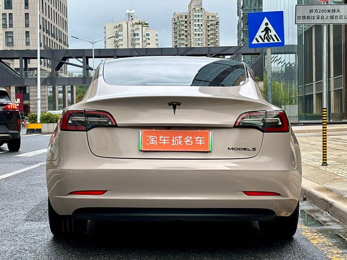 特斯拉 Model 3  2021款 改款 標(biāo)準(zhǔn)續(xù)航后驅(qū)升級(jí)版圖片