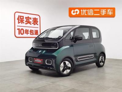 2024年4月 寶駿 寶駿KiWi EV 藝術(shù)家 三元鋰圖片