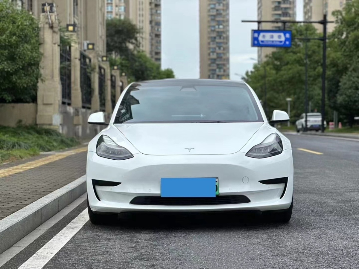 特斯拉 Model Y  2021款 標(biāo)準(zhǔn)續(xù)航后驅(qū)升級(jí)版圖片