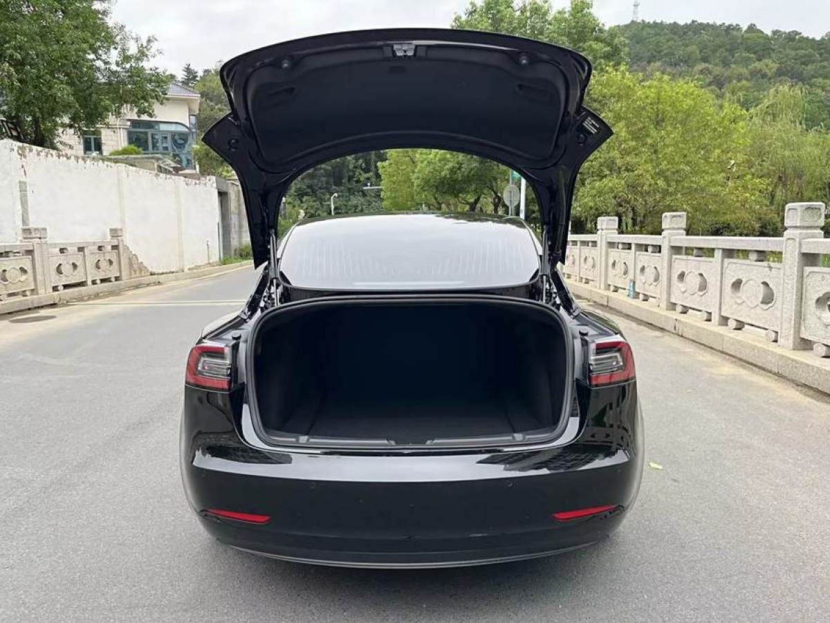 特斯拉 Model Y  2020款 改款 長續(xù)航后輪驅(qū)動版圖片