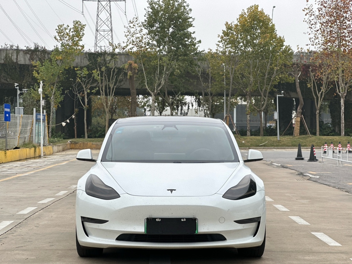 特斯拉 Model Y  2020款 改款 長續(xù)航后輪驅動版圖片