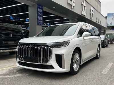 2023年12月 嵐圖 夢(mèng)想家 PHEV 超長(zhǎng)續(xù)航尊貴版圖片