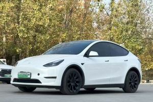 Model 3 特斯拉 Performance高性能全轮驱动版