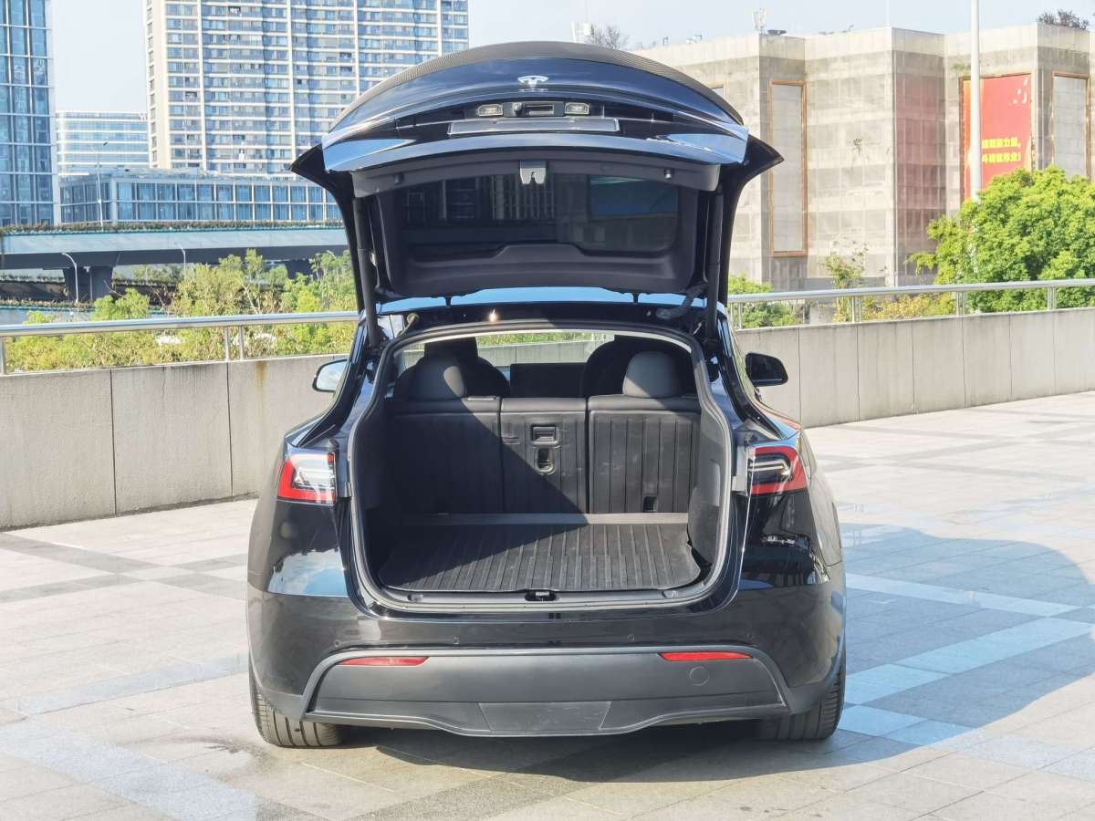 特斯拉 Model Y  2022款 Performance高性能全輪驅(qū)動版圖片