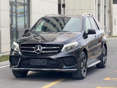 2019年1月 奔馳 奔馳GLE AMG AMG GLE 43 4MATIC圖片