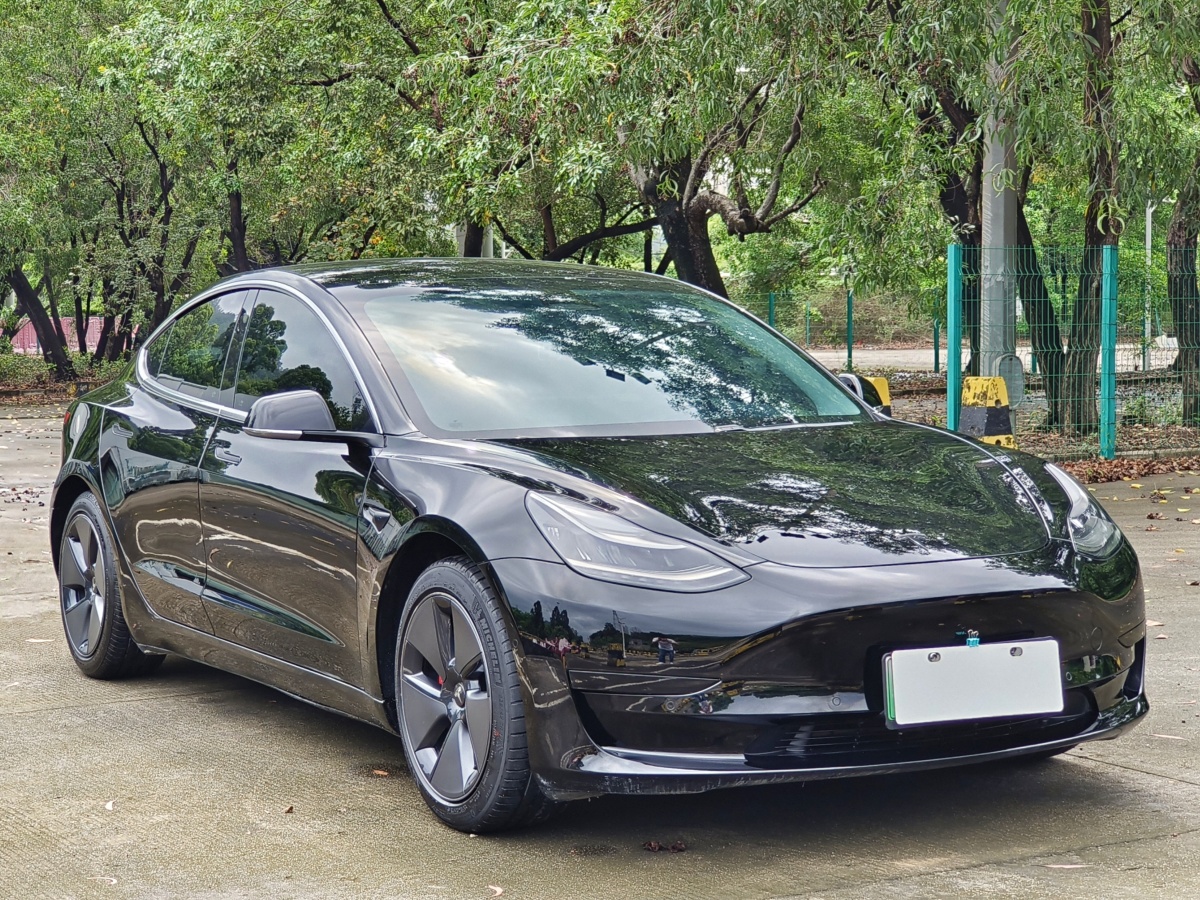 特斯拉 Model 3  2019款 標(biāo)準(zhǔn)續(xù)航后驅(qū)升級(jí)版圖片