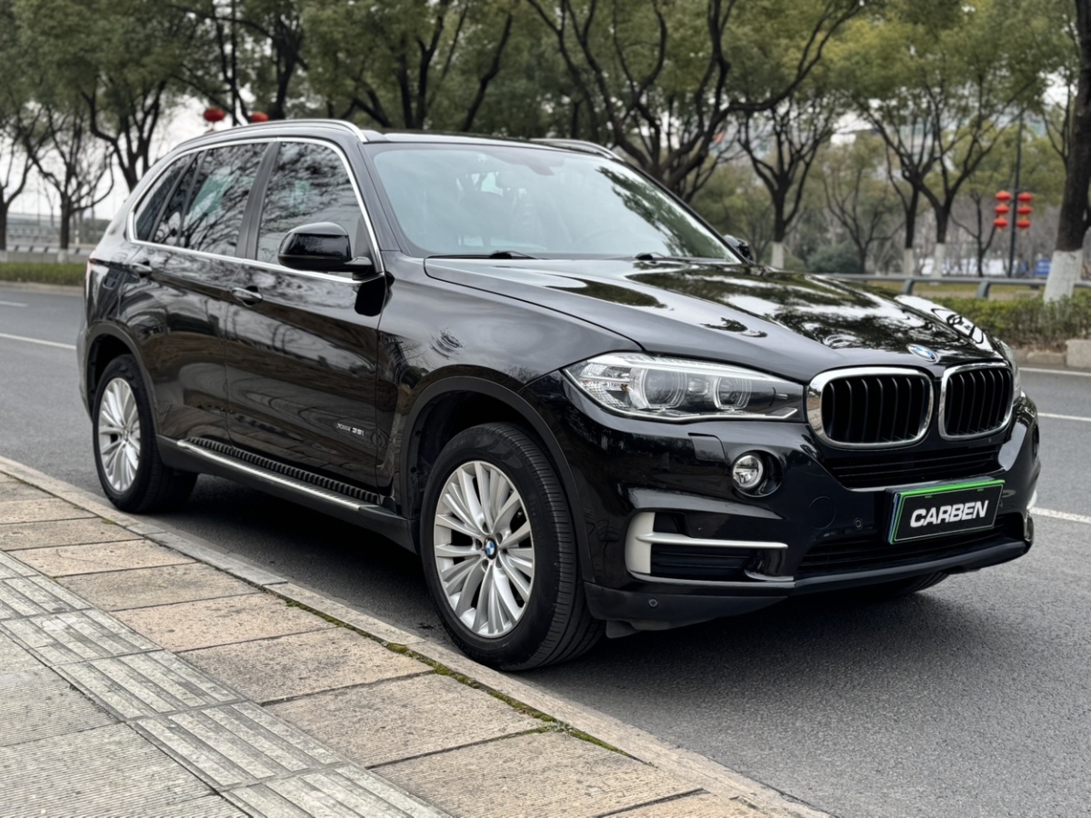 寶馬 寶馬X5  2014款 xDrive35i 領(lǐng)先型圖片