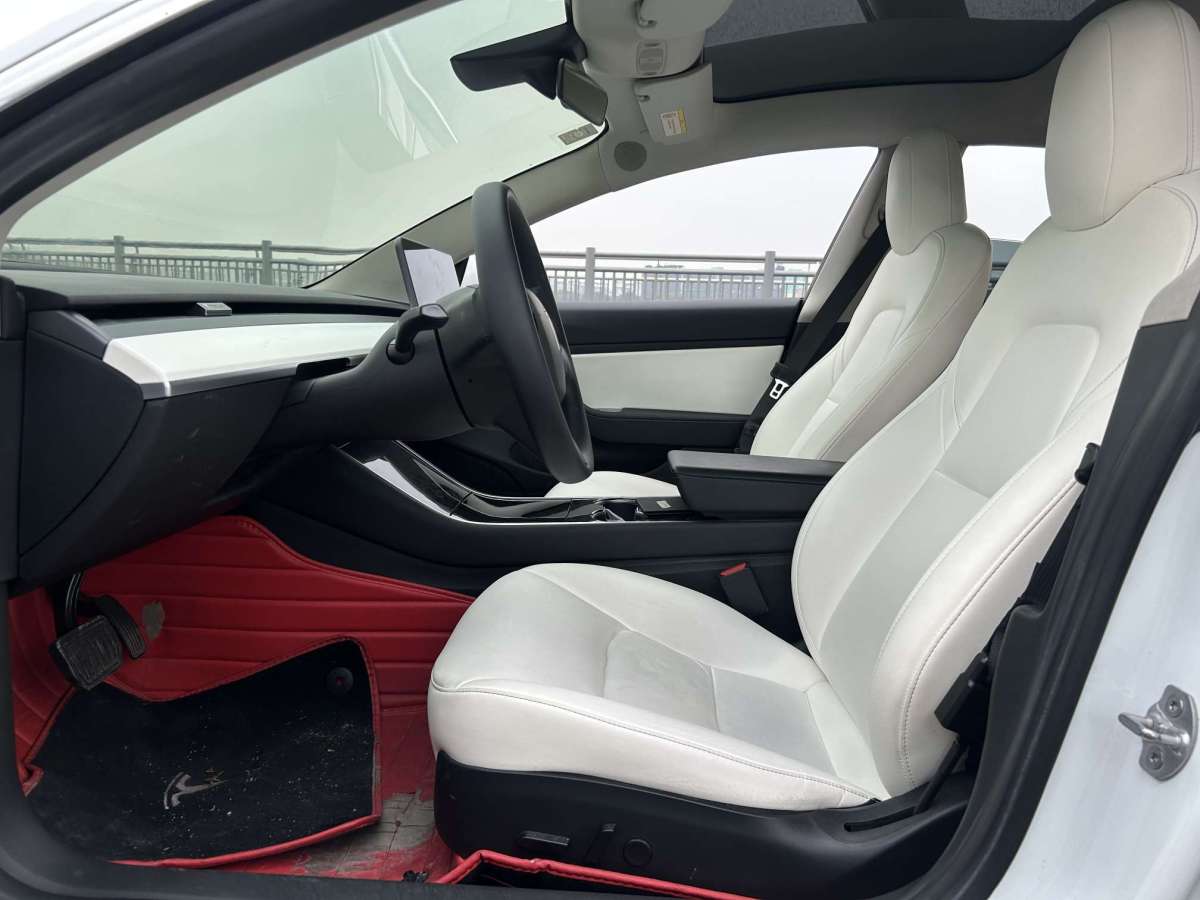 特斯拉 Model 3  2019款 標(biāo)準(zhǔn)續(xù)航后驅(qū)升級(jí)版圖片