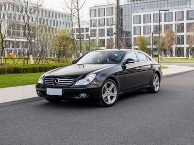 2007年9月 奔馳 奔馳CLS級(進(jìn)口) CLS 500圖片