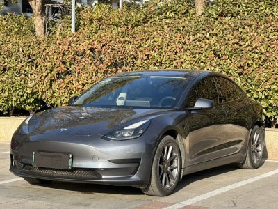 2021年03月 特斯拉 Model 3 標(biāo)準(zhǔn)續(xù)航后驅(qū)升級(jí)版圖片