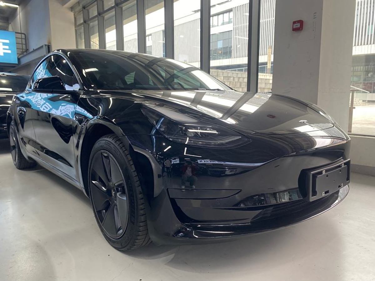 特斯拉 Model 3  2019款 標(biāo)準(zhǔn)續(xù)航后驅(qū)升級(jí)版圖片