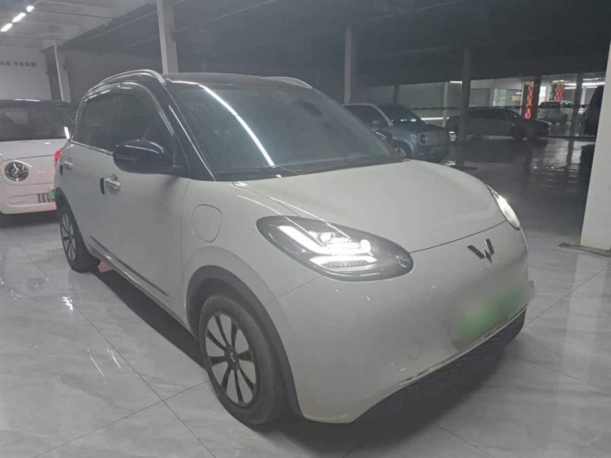五菱 五菱繽果  2023款 333km 靈犀互聯(lián)+款圖片