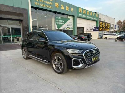 2021年1月 奧迪 Sport 奧迪RS Q8 RS Q8 4.0T圖片