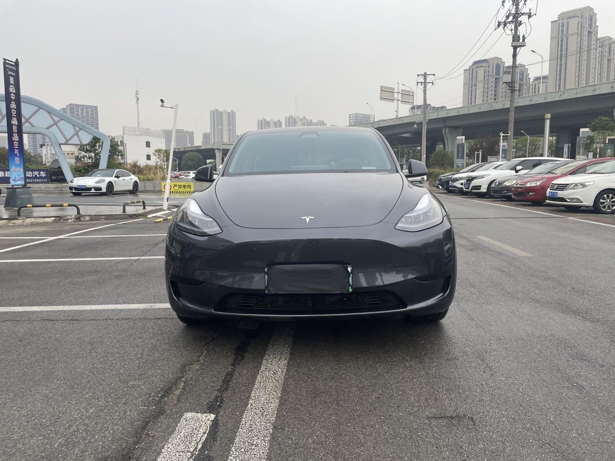 特斯拉 Model Y  2020款 改款 長續(xù)航后輪驅(qū)動版圖片