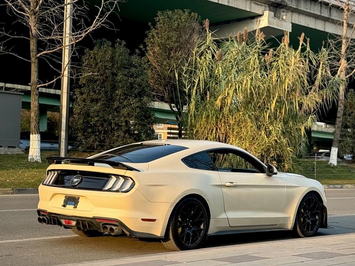 福特 Mustang  2019款 2.3L EcoBoost圖片