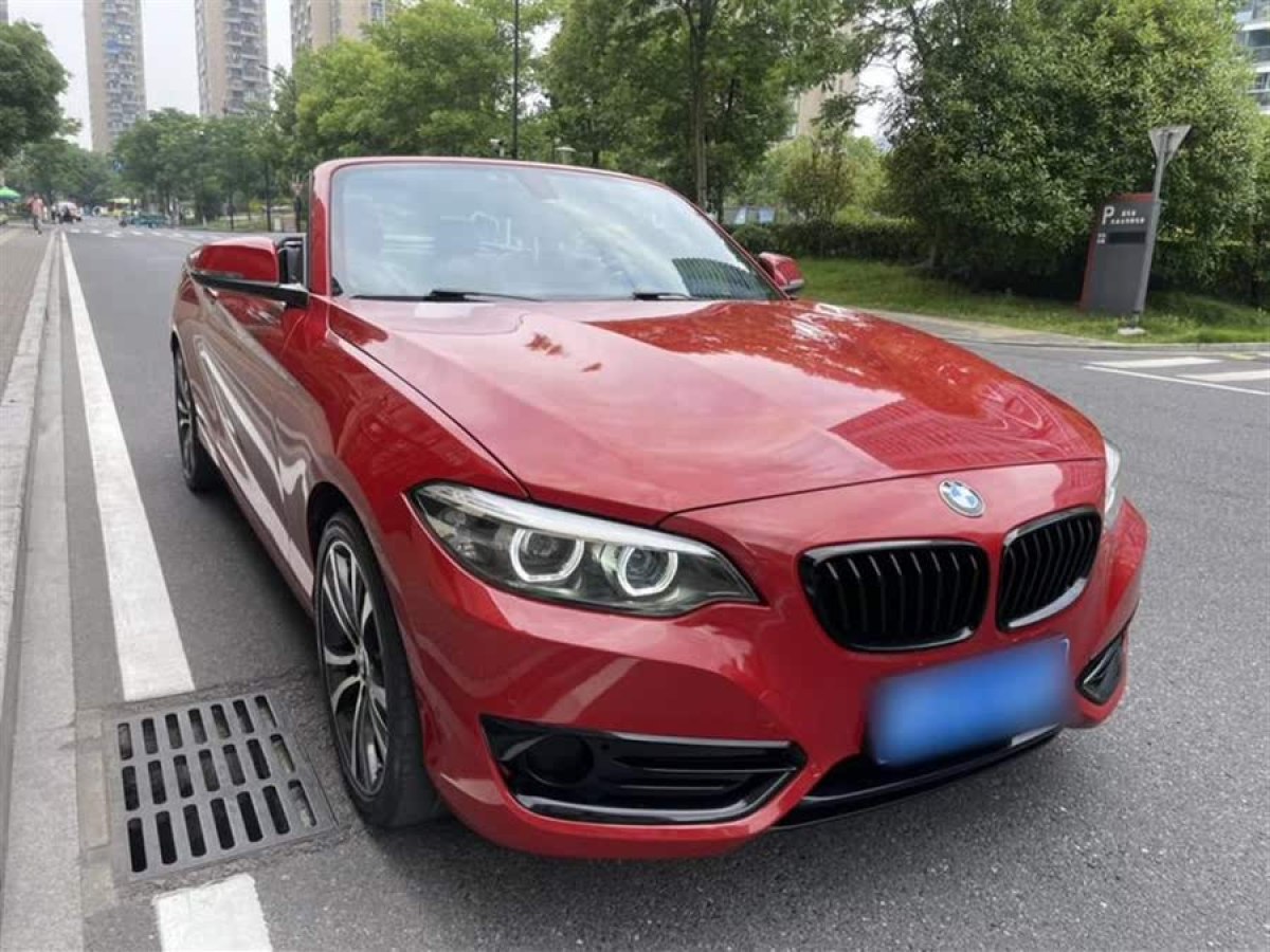 寶馬 寶馬2系  2019款  225i 敞篷轎跑車 運(yùn)動設(shè)計套裝圖片