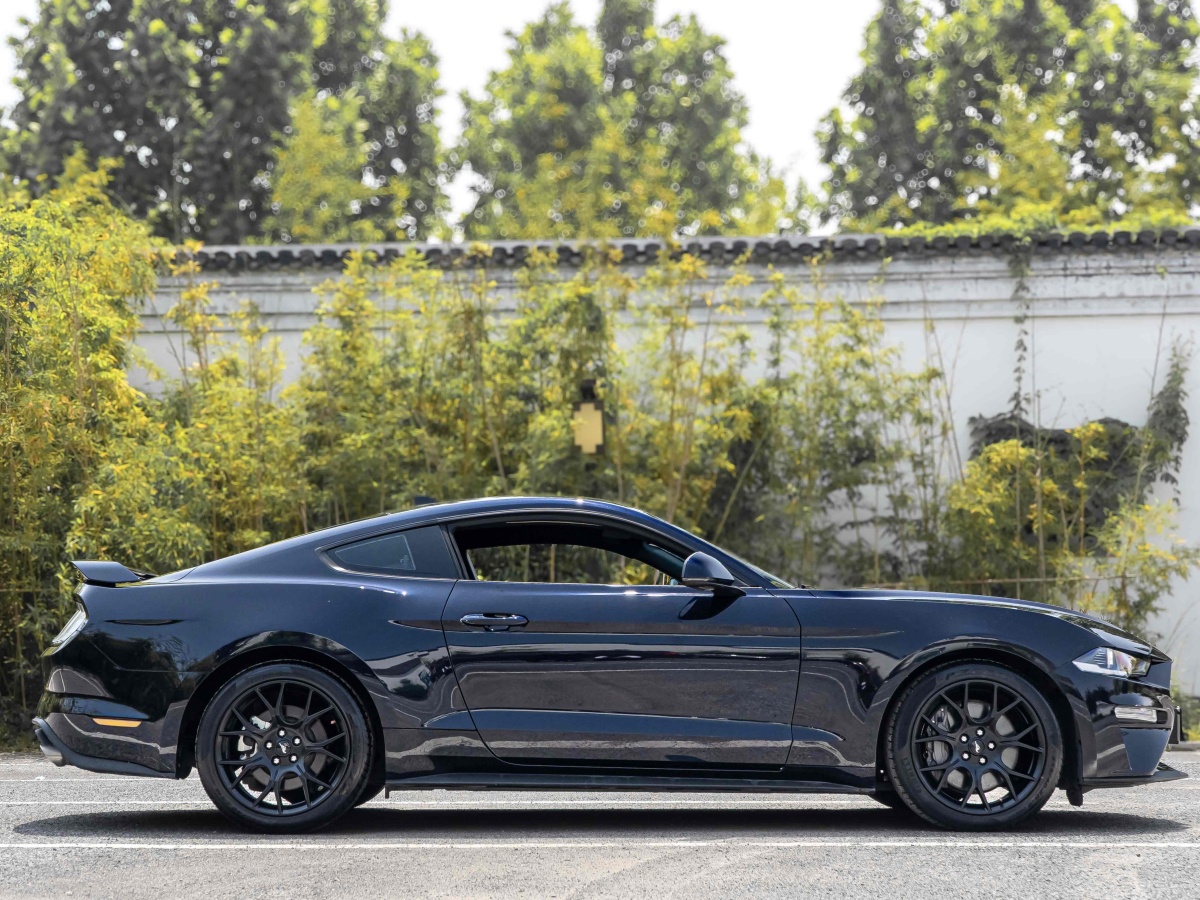 福特 Mustang  2021款 2.3L EcoBoost 驰影性能进阶版图片