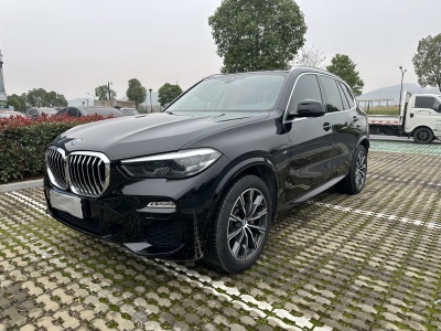 寶馬 寶馬X5(進(jìn)口) xDrive30i X設(shè)計(jì)套裝圖片