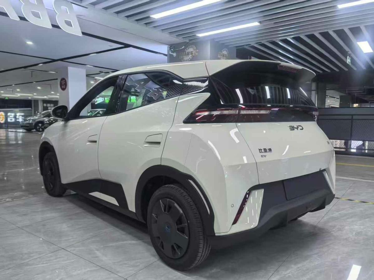 比亞迪 漢  2024款 EV 榮耀版 610KM四驅(qū)天神之眼智駕型圖片