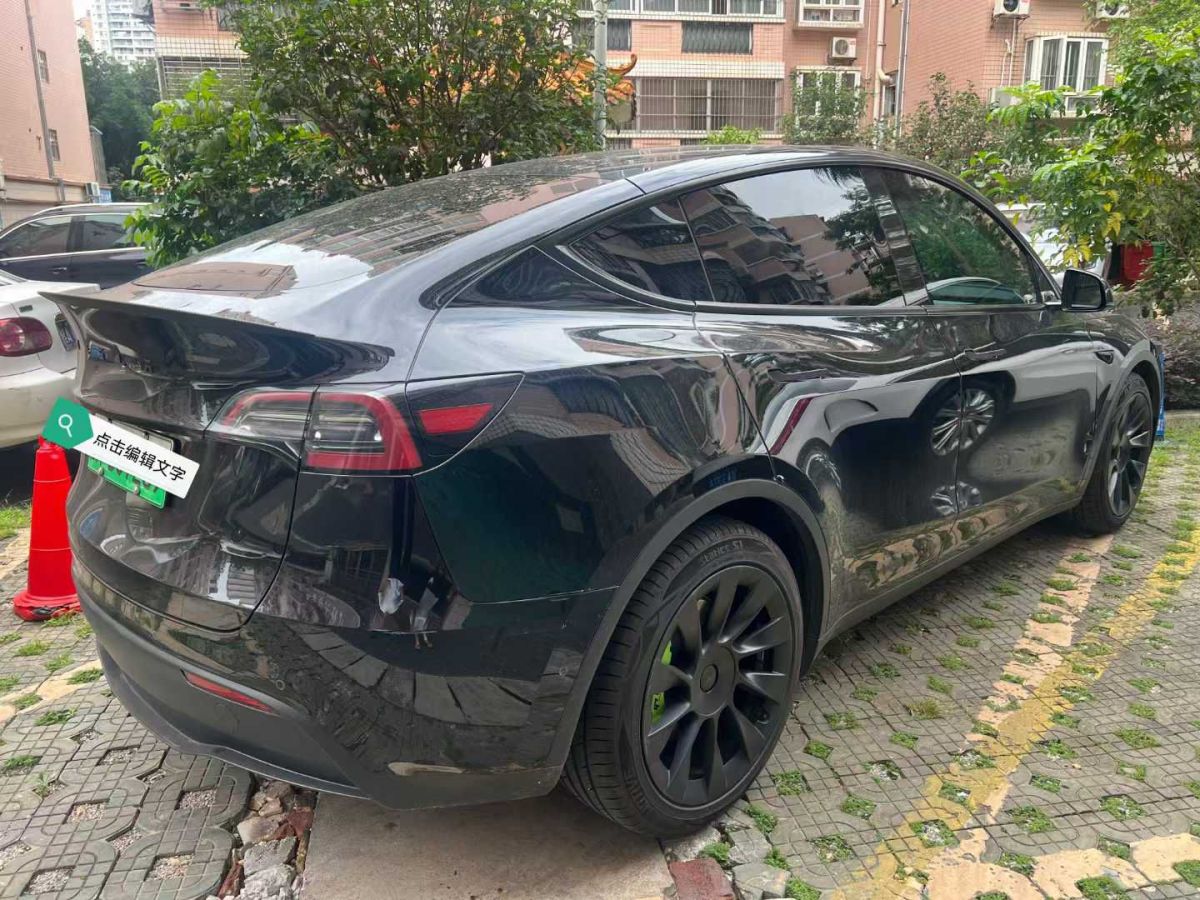 特斯拉 Model Y  2022款 Performance高性能全輪驅(qū)動版圖片