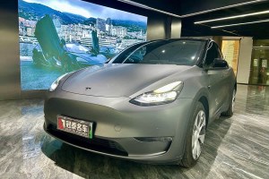 Model Y 特斯拉 改款 長續(xù)航全輪驅(qū)動(dòng)版