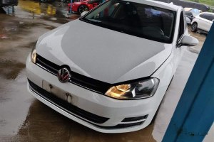 高爾夫 大眾 1.6L 手動時尚型
