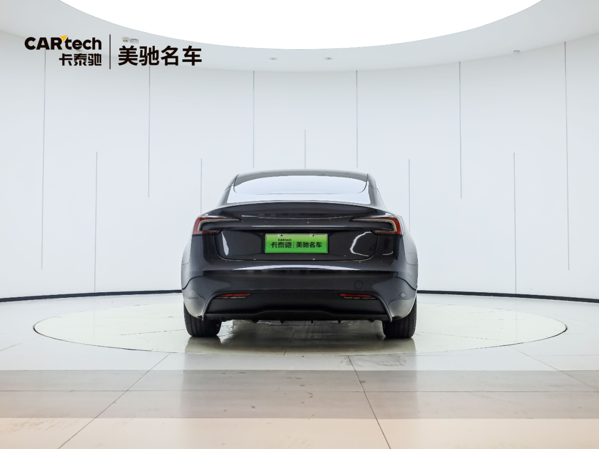 特斯拉 Model 3  2019款 Performance高性能全輪驅(qū)動(dòng)版圖片