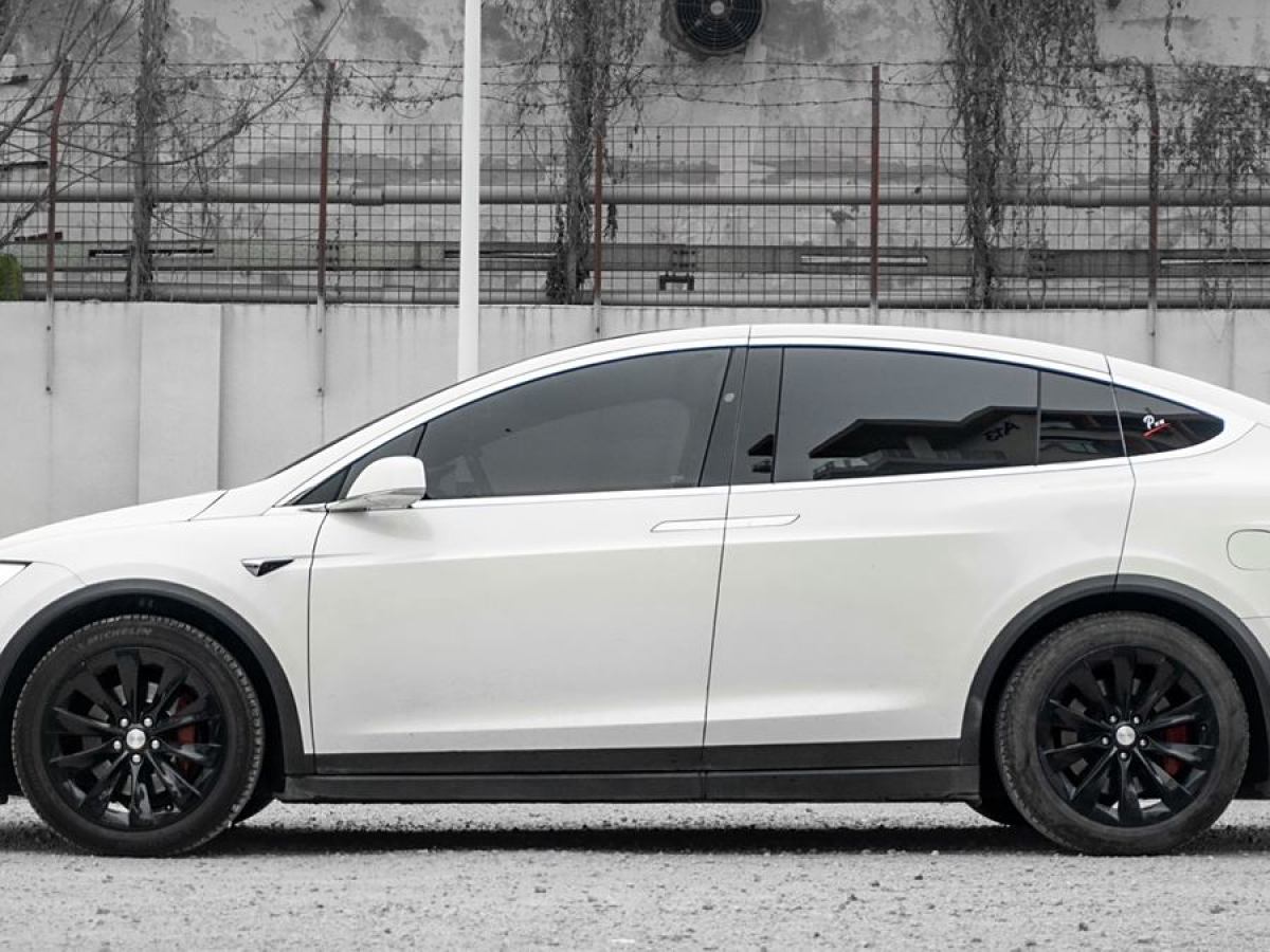 2019年10月特斯拉 Model X  2019款 長續(xù)航版