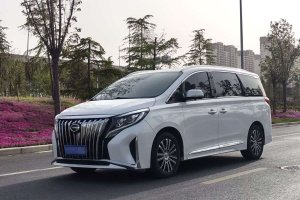 M8 廣汽傳祺 領(lǐng)秀系列 390T 尊貴版