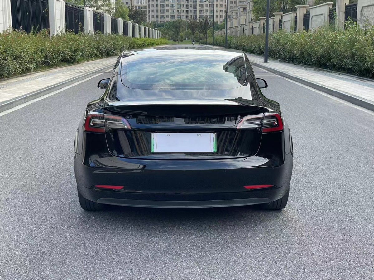 特斯拉 Model Y  2021款 標(biāo)準(zhǔn)續(xù)航后驅(qū)升級(jí)版 3D6圖片