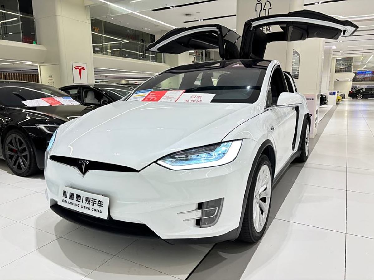 特斯拉 Model X  2019款 Performance 高性能版圖片