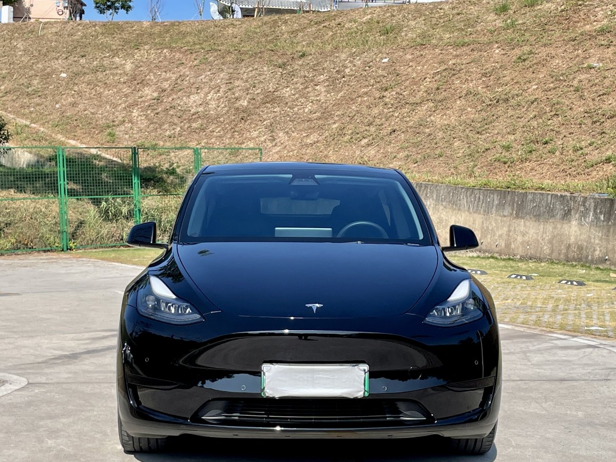 2022年6月特斯拉 Model 3  2022款 后輪驅(qū)動版