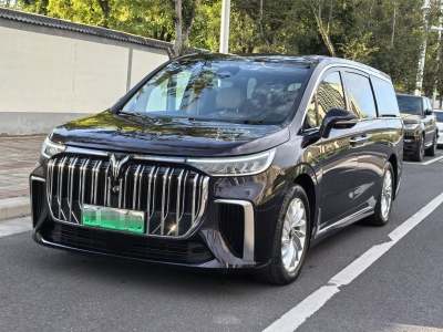 2024年1月 岚图 梦想家 PHEV 超长续航尊贵版图片