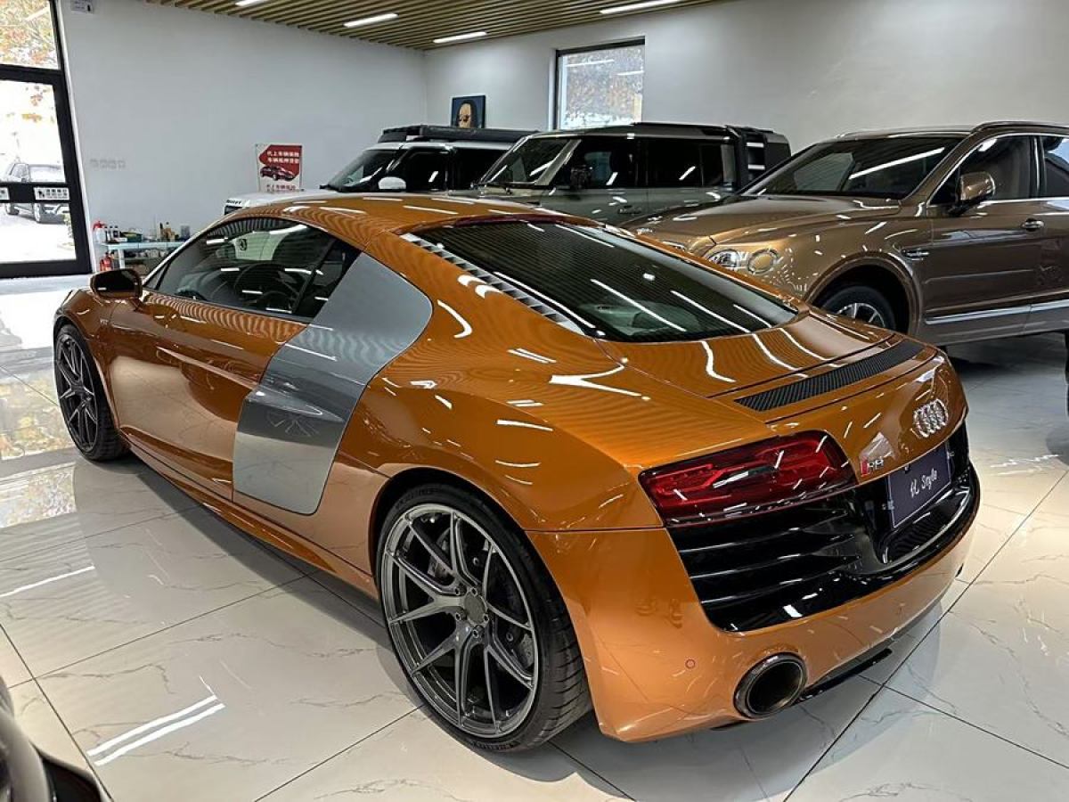 奧迪 奧迪R8  2014款 5.2 FSI quattro圖片