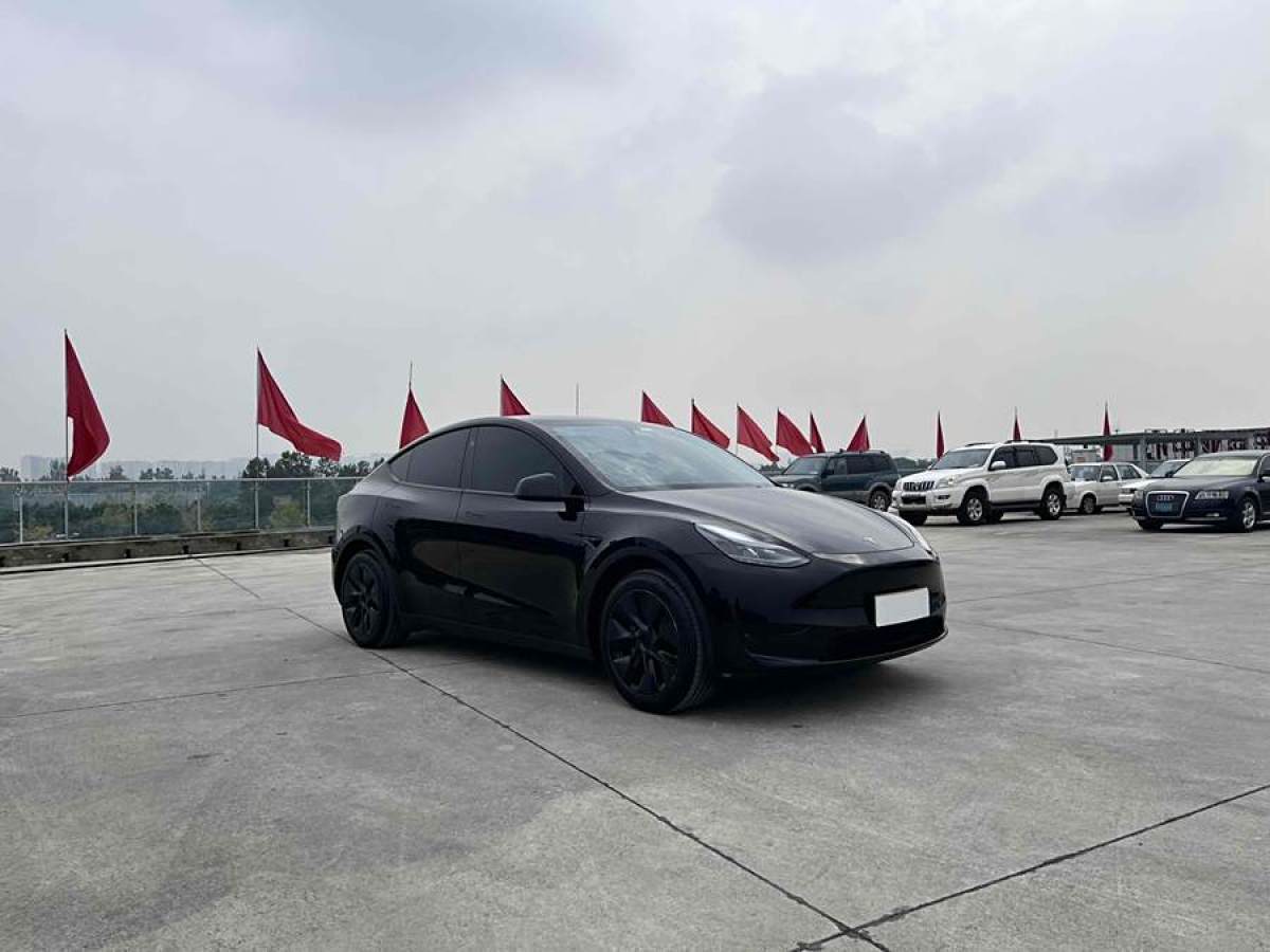 特斯拉 Model Y  2020款 改款 長續(xù)航后輪驅(qū)動版圖片