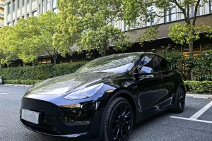 Model Y 特斯拉 標(biāo)準(zhǔn)續(xù)航后驅(qū)版