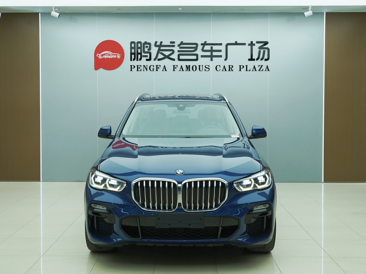 寶馬 寶馬X5  2019款 xDrive30i M運動套裝圖片