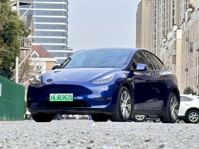 2022年1月 特斯拉 Model 3 后輪驅(qū)動版圖片