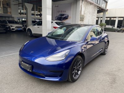 2020年4月 特斯拉 Model 3 標(biāo)準(zhǔn)續(xù)航后驅(qū)升級(jí)版圖片