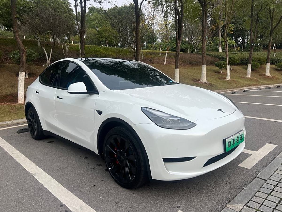 特斯拉 Model 3  2022款 后輪驅(qū)動(dòng)版圖片