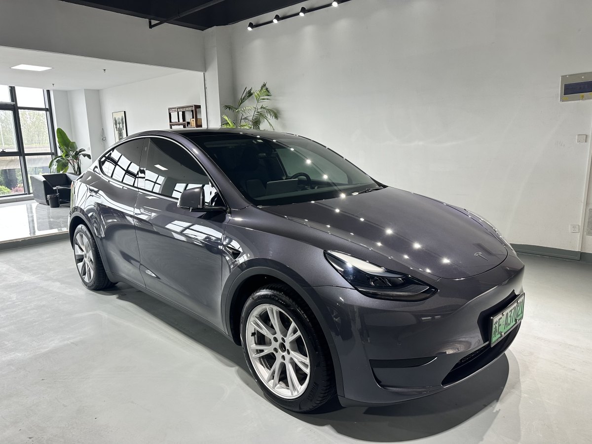 特斯拉 Model Y  2020款 改款 長續(xù)航后輪驅動版圖片