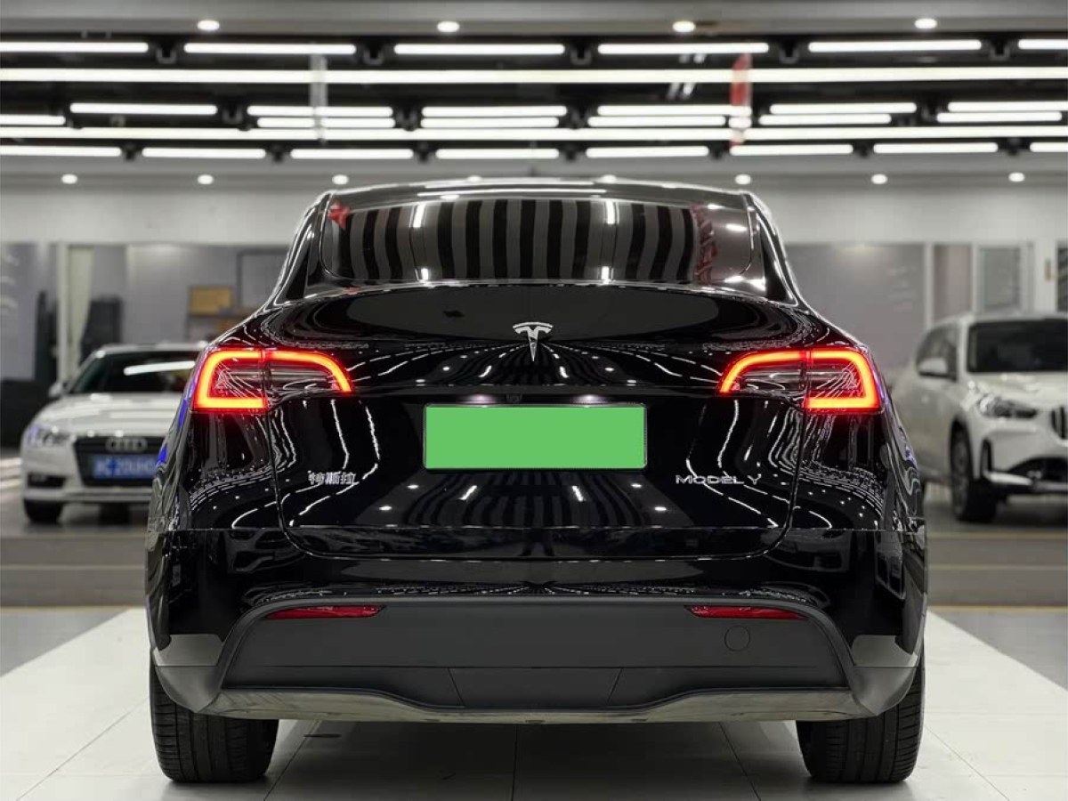 特斯拉 Model Y  2024款 長續(xù)航全輪驅(qū)動版圖片