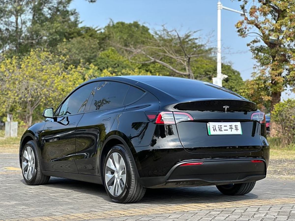 特斯拉 Model 3  2020款 改款 長(zhǎng)續(xù)航后輪驅(qū)動(dòng)版圖片