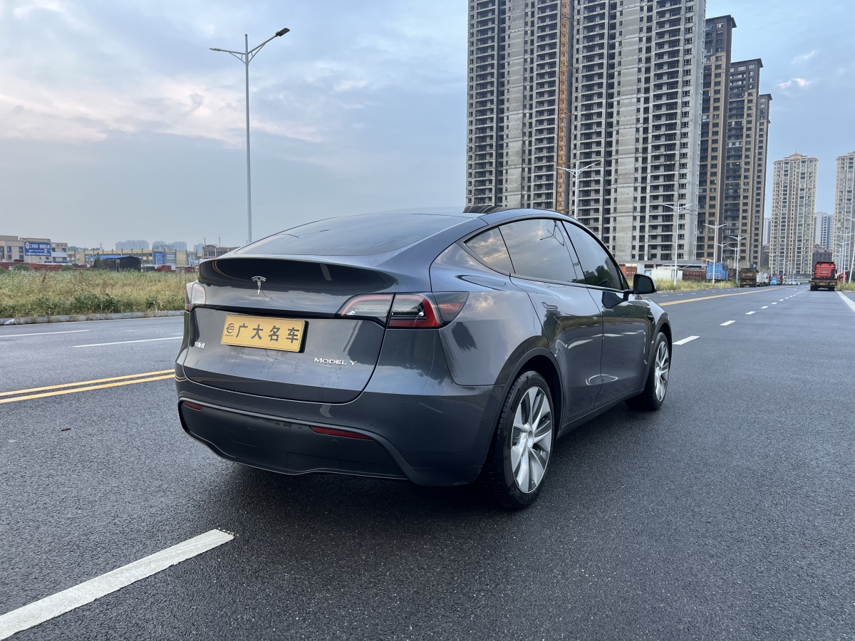 特斯拉 Model Y  2020款 改款 長續(xù)航后輪驅(qū)動版圖片