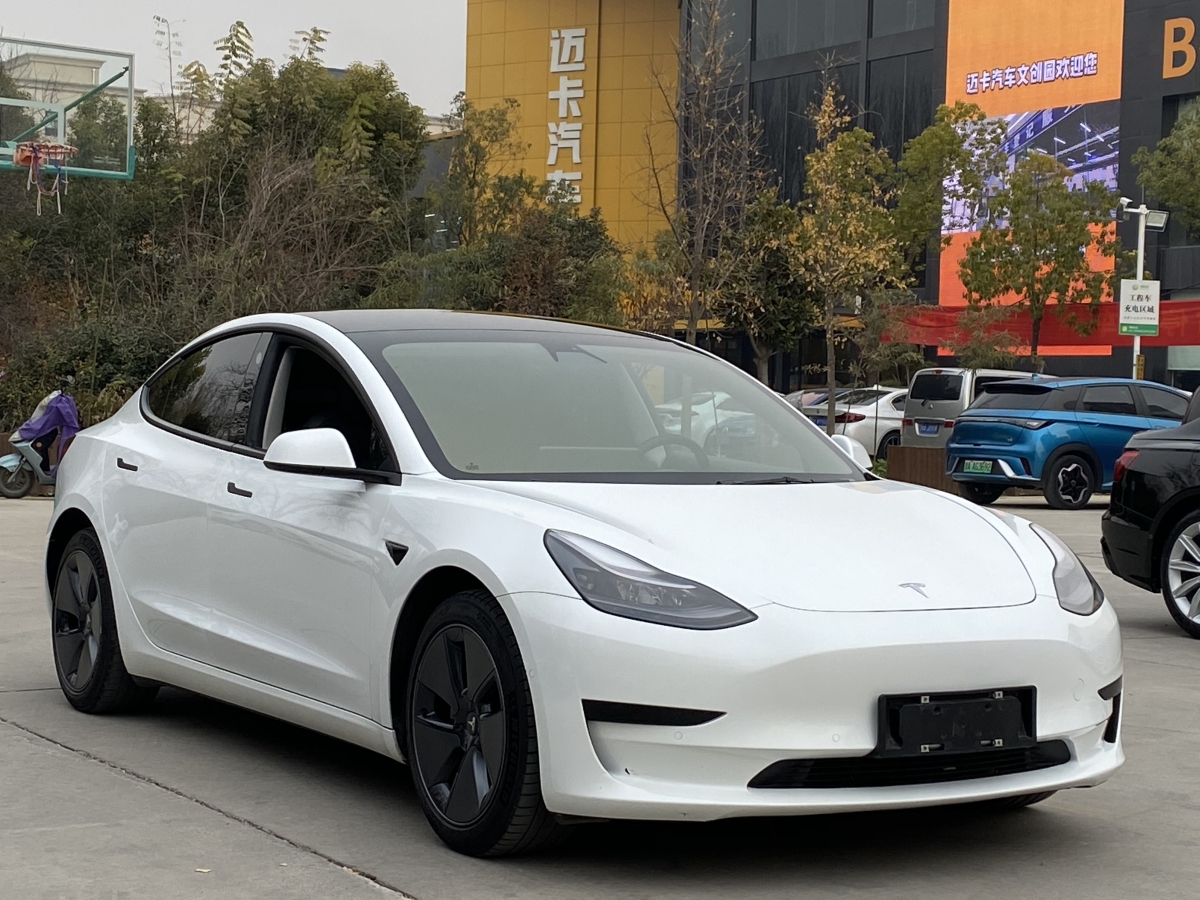 特斯拉 Model 3  2019款 標準續(xù)航后驅(qū)升級版圖片