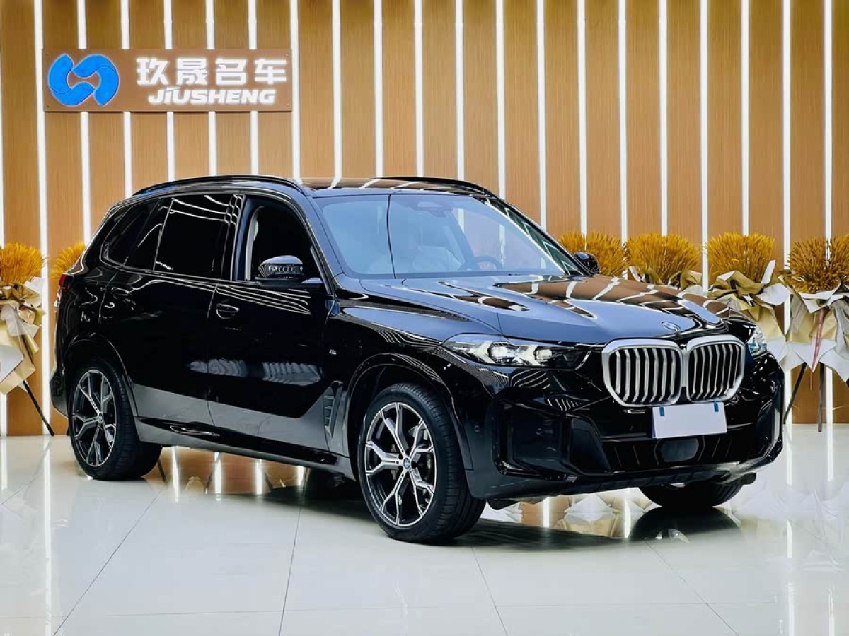 寶馬 寶馬X5  2023款 xDrive 30Li 尊享型M運(yùn)動(dòng)套裝圖片