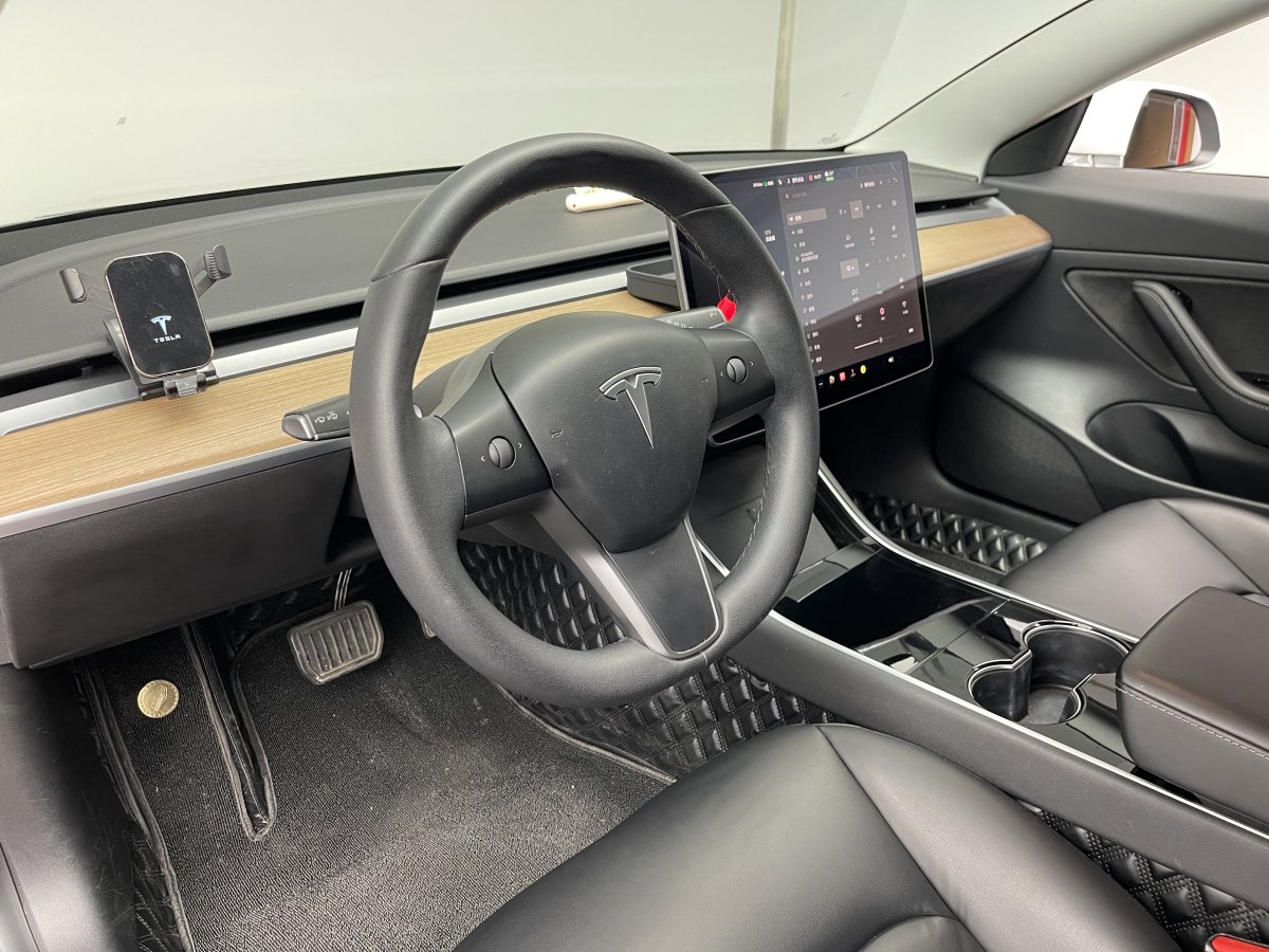 特斯拉 Model 3  2019款 標準續(xù)航后驅升級版圖片